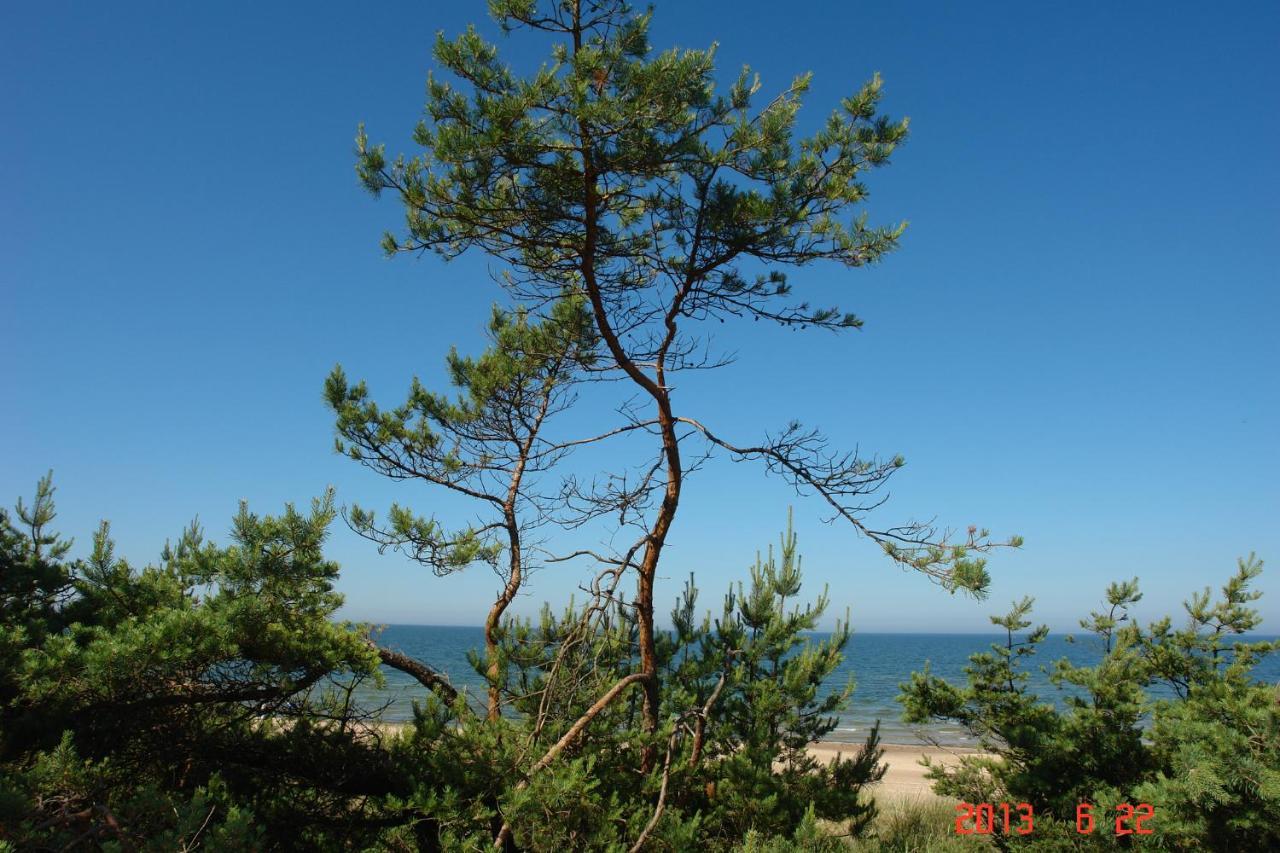 Pajurio Vingis Aparthotel Palanga Buitenkant foto